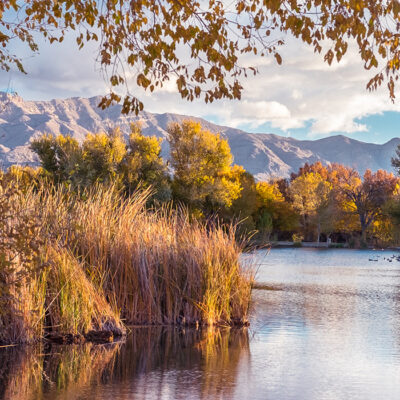 Floyd Lamb Park at Tule Springs in Las Vegas