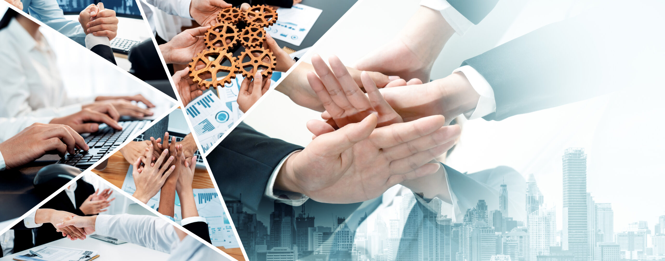 Teamwork and human resources HR management technology for business vexel