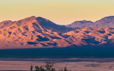 ‘The Greater Vegas Resiliency Playbook’ Now Available